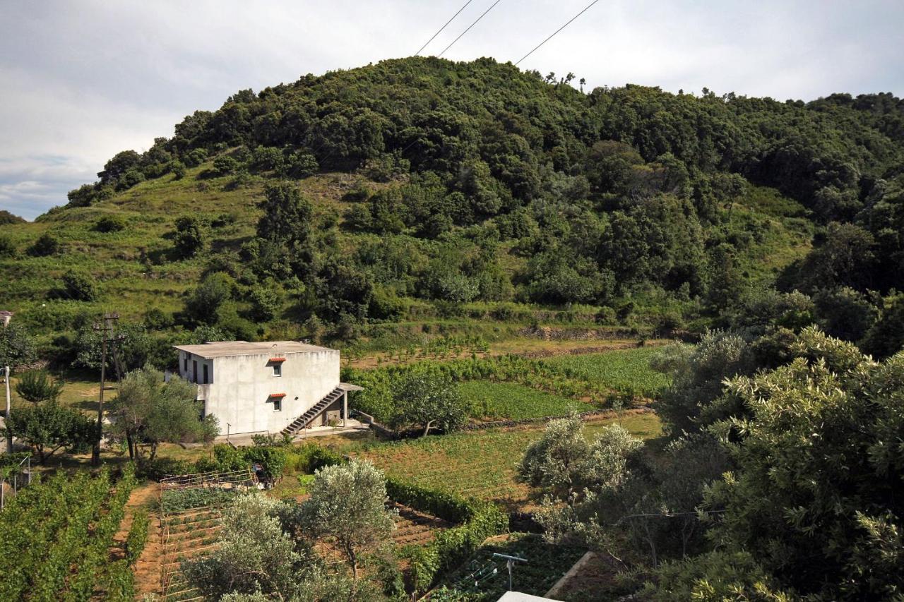 Apartments By The Sea Supetarska Draga - Donja, Rab - 2022 Esterno foto